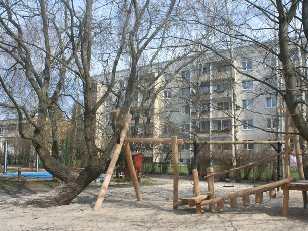 Spielbaum_Baumgutachten