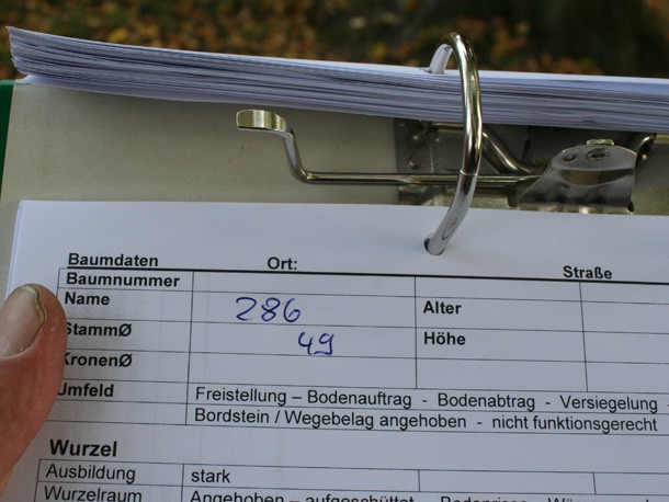 Aufnahmebogen_Baumkataster