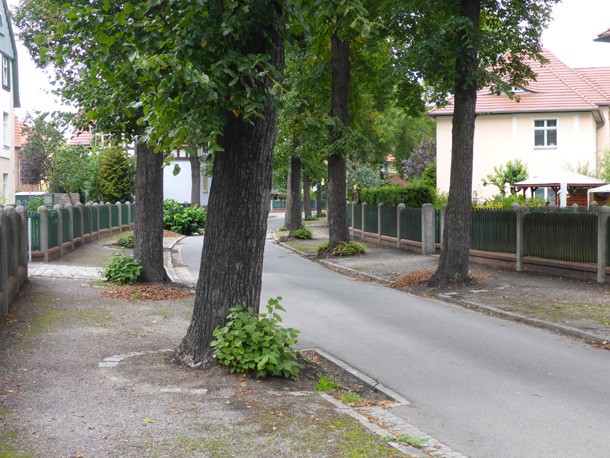 Ringstrasse_Konzeption_Gartenstadt_Marga