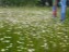 Kraeuterwiese_Spielplatz_Luebbenau