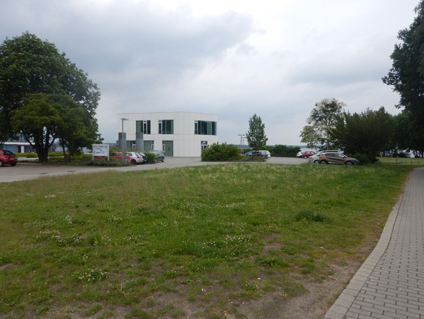 Rasenflaeche_Stadthafen_Senftenberg
