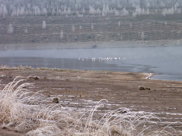 Voegel_Westufer_Schiffbarmachung_Grossraeschener_See