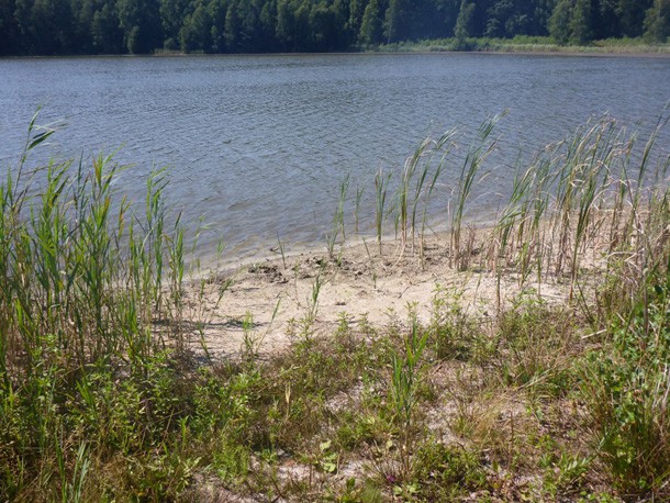 Kleinsee_Seewasserstabilisierung_Schlaubetal