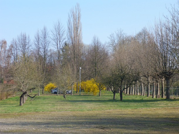 Zentralbereich_B-Plan_Burger_Mitte
