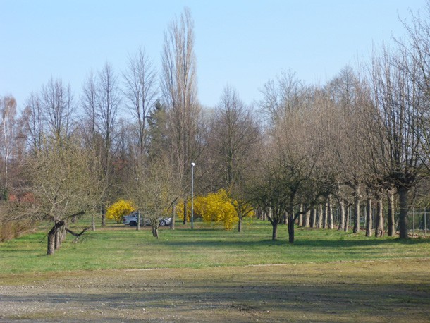 Zentralbereich_B-Plan_Burger_Mitte