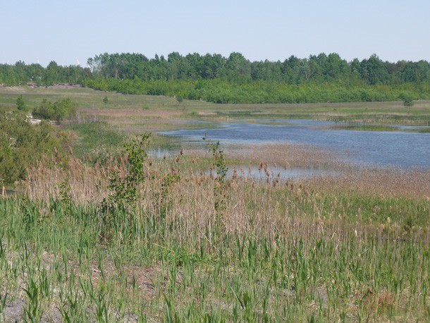 Mastkippe_Sommer_Wasserableitung_Schwarze_Keute