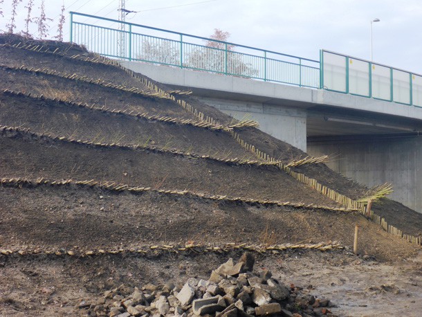 Heckenbuschlagen_Boeschungssicherung_Bruecke_Senftenberg