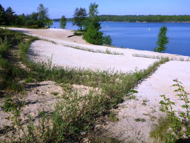 Hangfaschinen_Ufersicherung_Senftenberger_See