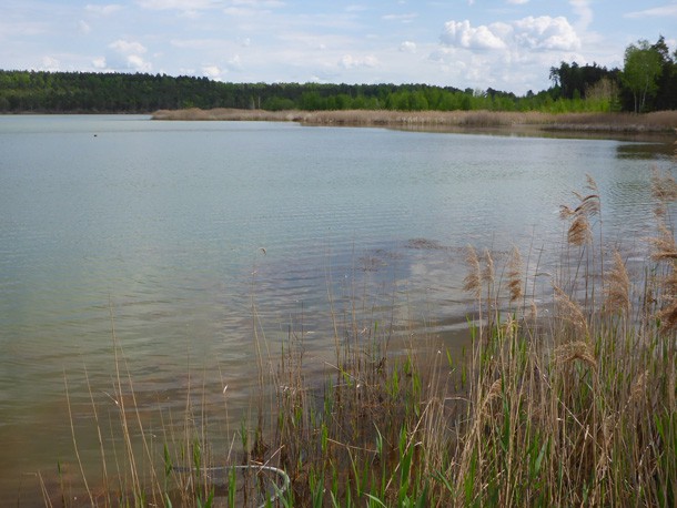 Fabrikteich_Meuro_Sued_Wegekonzept_Grossraeschener_See